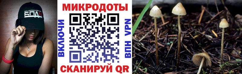 Псилоцибиновые грибы мухоморы  Купить  Вуктыл 